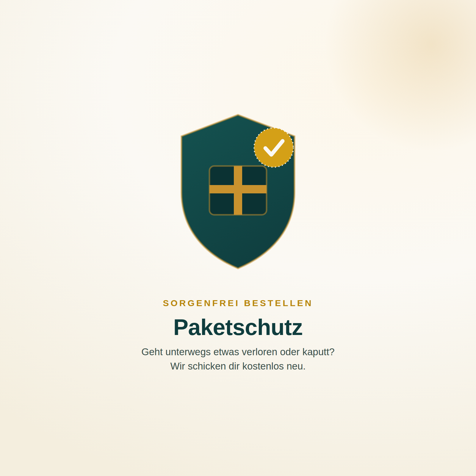 Rundum-Schutz für dein Paket